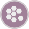 Website Architecture